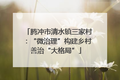 腾冲市清水镇三家村：“微治理”构建乡村善治“大格局”