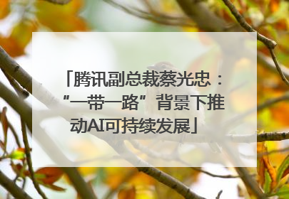 腾讯副总裁蔡光忠：“一带一路”背景下推动AI可持续发展