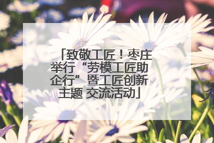 致敬工匠！枣庄举行“劳模工匠助企行”暨工匠创新主题 交流活动