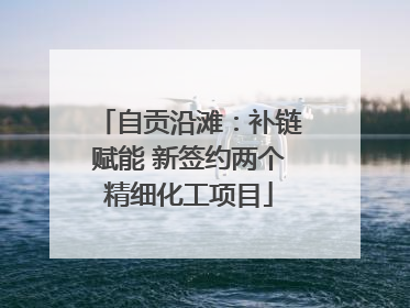 自贡沿滩：补链赋能 新签约两个精细化工项目