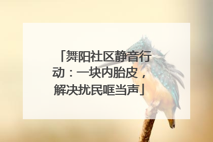 舞阳社区静音行动：一块内胎皮，解决扰民哐当声