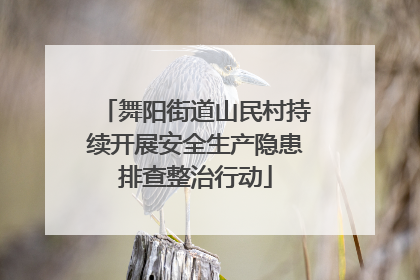 舞阳街道山民村持续开展安全生产隐患排查整治行动