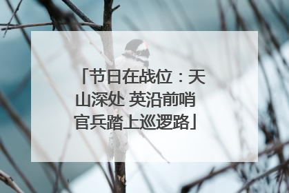 节日在战位：天山深处 英沿前哨官兵踏上巡逻路