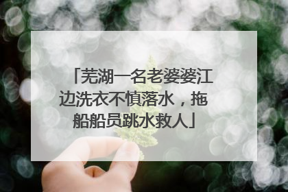 芜湖一名老婆婆江边洗衣不慎落水，拖船船员跳水救人
