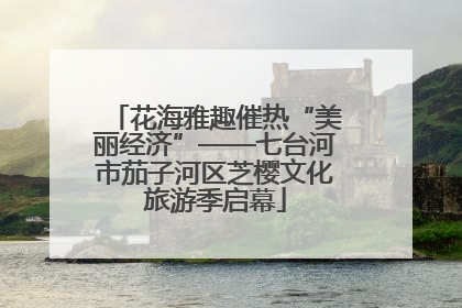 花海雅趣催热“美丽经济”——七台河市茄子河区芝樱文化旅游季启幕