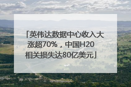 英伟达数据中心收入大涨超70%，中国H20相关损失达80亿美元