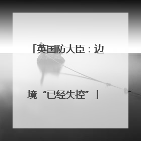 英国防大臣：边境“已经失控”