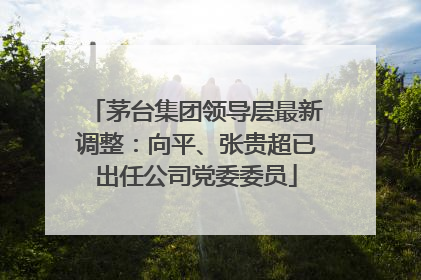 茅台集团领导层最新调整：向平、张贵超已出任公司党委委员
