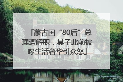 蒙古国“80后”总理遭解职，其子此前被曝生活奢华引众怒