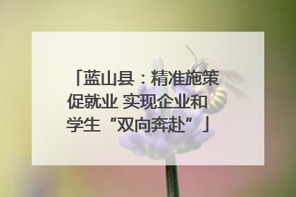 蓝山县：精准施策促就业 实现企业和学生“双向奔赴”