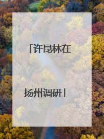 许昆林在扬州调研