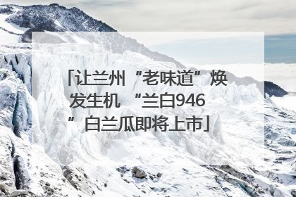 让兰州“老味道”焕发生机 “兰白946”白兰瓜即将上市