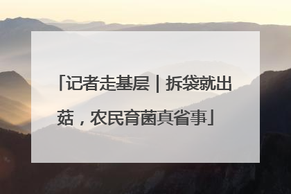记者走基层｜拆袋就出菇，农民育菌真省事