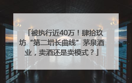 被执行近40万！肆拾玖坊“第二增长曲线”茅泉酒业，卖酒还是卖模式？