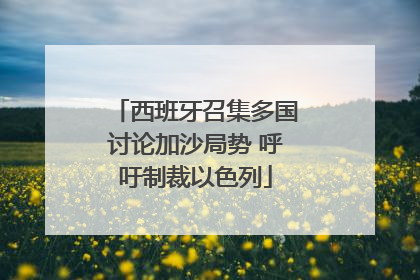 西班牙召集多国讨论加沙局势 呼吁制裁以色列
