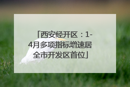 西安经开区：1-4月多项指标增速居全市开发区首位