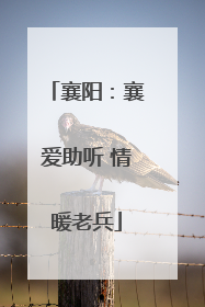 襄阳：襄爱助听 情暖老兵