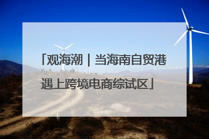 观海潮｜当海南自贸港遇上跨境电商综试区