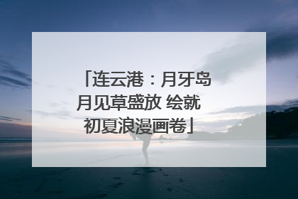 连云港：月牙岛月见草盛放 绘就初夏浪漫画卷