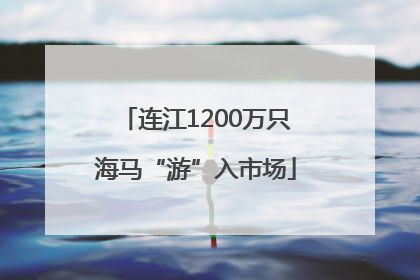 连江1200万只海马“游”入市场