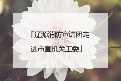 辽源消防宣讲团走进市直机关工委