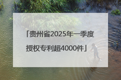 贵州省2025年一季度授权专利超4000件
