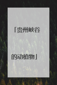 贵州峡谷的动植物