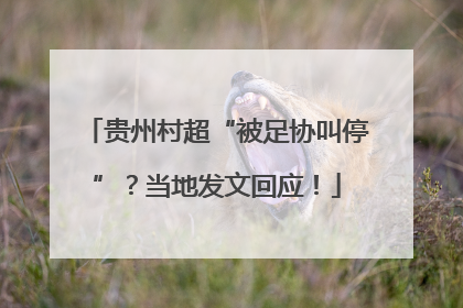 贵州村超“被足协叫停”？当地发文回应！