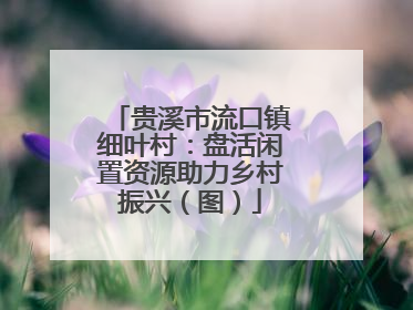贵溪市流口镇细叶村：盘活闲置资源助力乡村振兴（图）