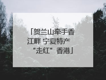 贺兰山牵手香江畔 宁夏特产“走红”香港