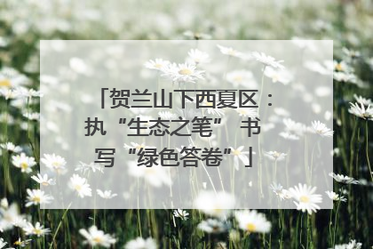 贺兰山下西夏区：执“生态之笔” 书写“绿色答卷”