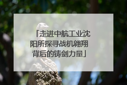 走进中航工业沈阳所探寻战机翱翔背后的铸剑力量