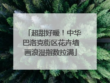 超甜好暖！中华巴洛克街区花卉墙画浪漫指数拉满