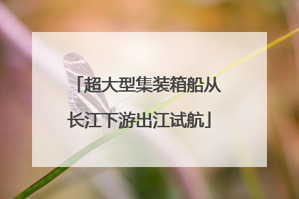 超大型集装箱船从长江下游出江试航