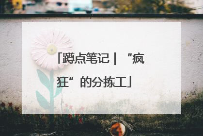 蹲点笔记｜“疯狂”的分拣工
