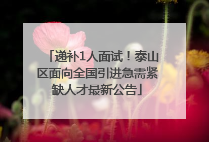 递补1人面试！泰山区面向全国引进急需紧缺人才最新公告