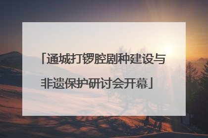 通城打锣腔剧种建设与非遗保护研讨会开幕