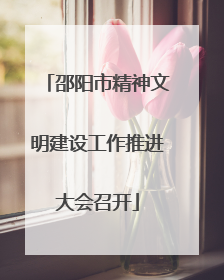 邵阳市精神文明建设工作推进大会召开