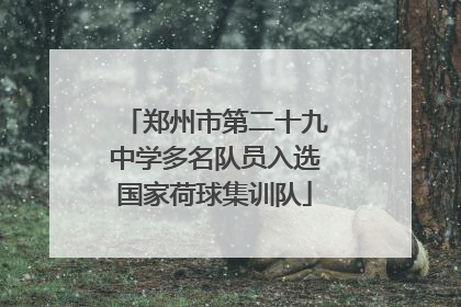 郑州市第二十九中学多名队员入选国家荷球集训队
