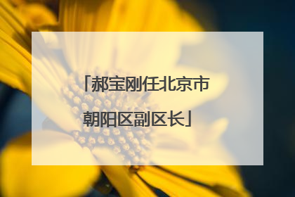 郝宝刚任北京市朝阳区副区长