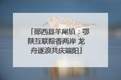 郧西县羊尾镇：鄂陕互联粽香两岸 龙舟逐浪共庆端阳