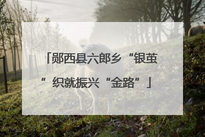 郧西县六郎乡“银茧”织就振兴“金路”
