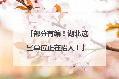 部分有编！湖北这些单位正在招人！