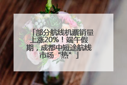 部分航线机票销量上涨20%！端午假期，成都中短途航线市场“热”