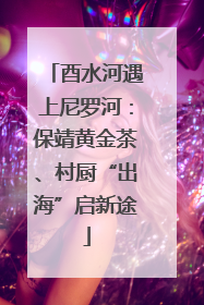酉水河遇上尼罗河：保靖黄金茶、村厨“出海”启新途