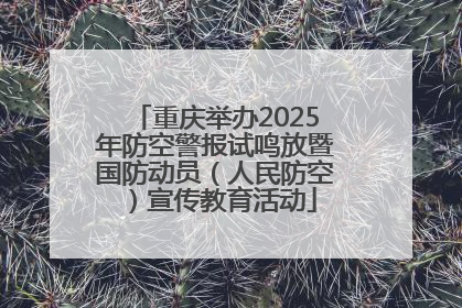重庆举办2025年防空警报试鸣放暨国防动员（人民防空）宣传教育活动
