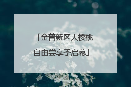 金普新区大樱桃自由尝享季启幕