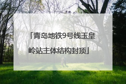 青岛地铁9号线玉皇岭站主体结构封顶