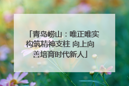 青岛崂山：唯正唯实构筑精神支柱 向上向善培育时代新人