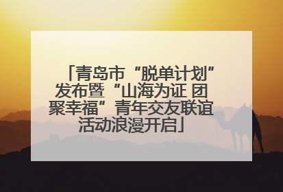 青岛市“脱单计划”发布暨“山海为证 团聚幸福”青年交友联谊活动浪漫开启